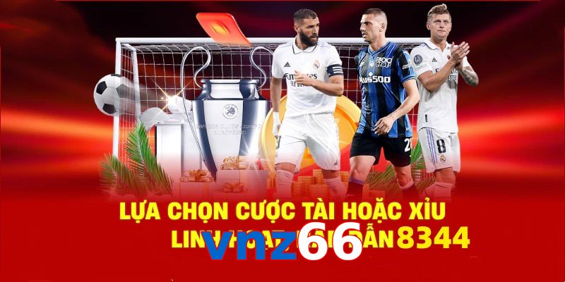 Danh mục đa dạng, đoán chuẩn là nhận tiền