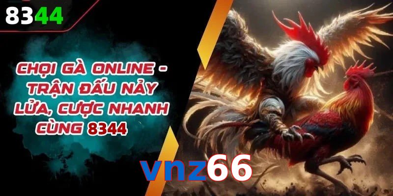 Đá gà vnz66 có rất nhiều ưu điểm vượt trội so với sân chơi khác